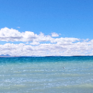 用户个人资料图片